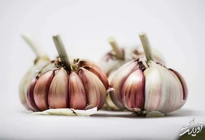 فواید سیر سیر